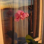 Obad Guest house