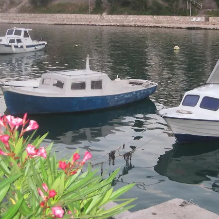 Obad Neum